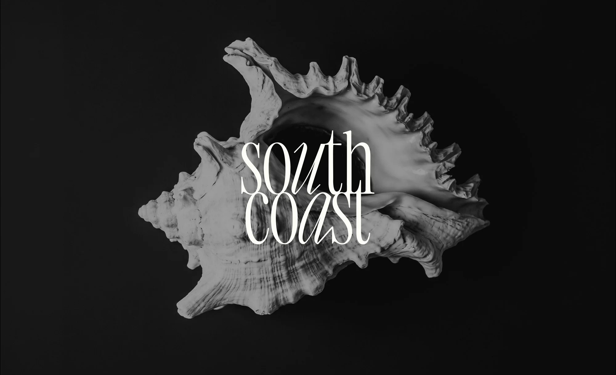 Stacked logo design on shell texture background — coastal luxury brand identity for Byron Bay sustainable swimwear brand