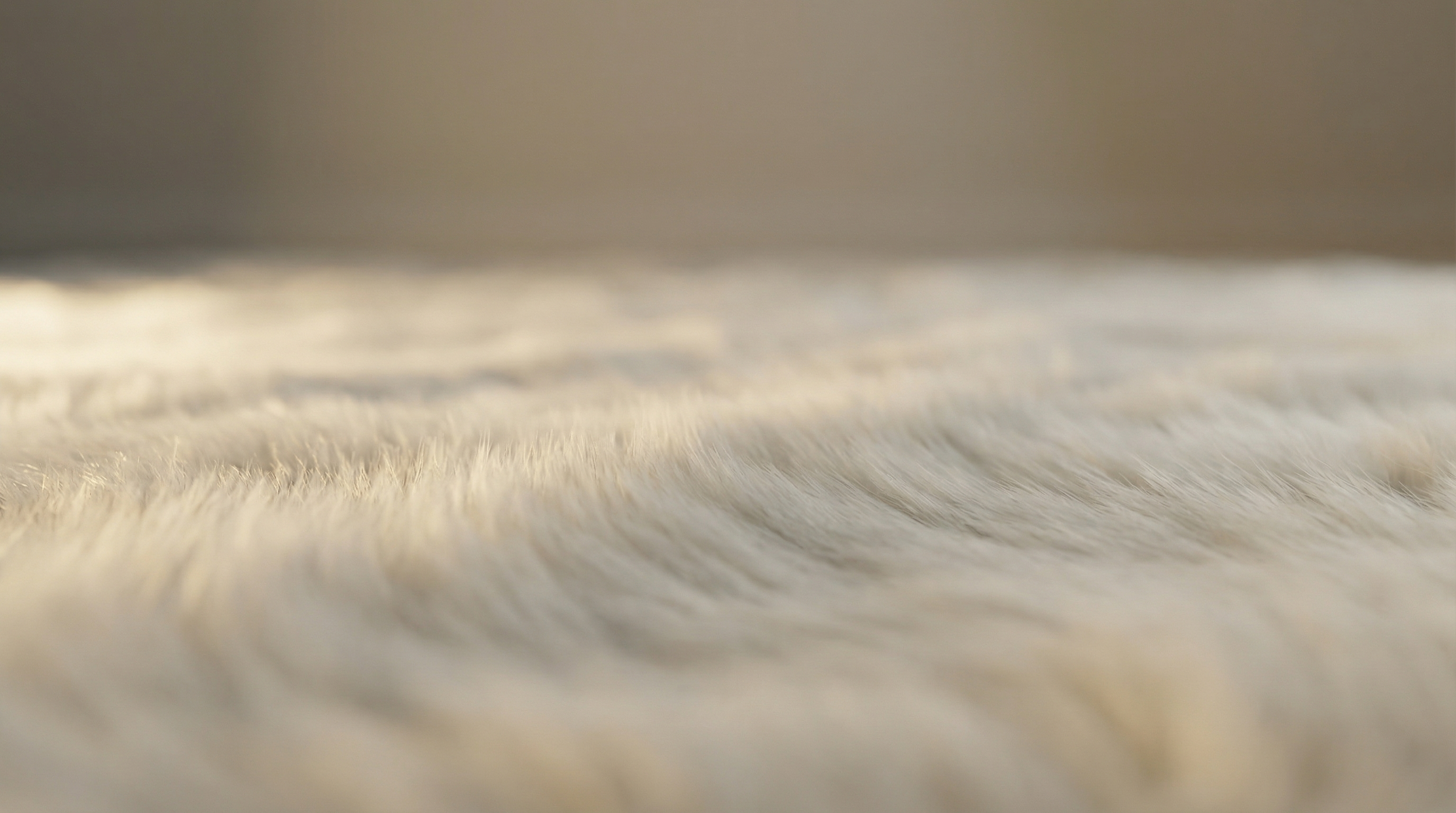The Return of Natural Materials in Superyacht Interiors — And the Carpets That Define It