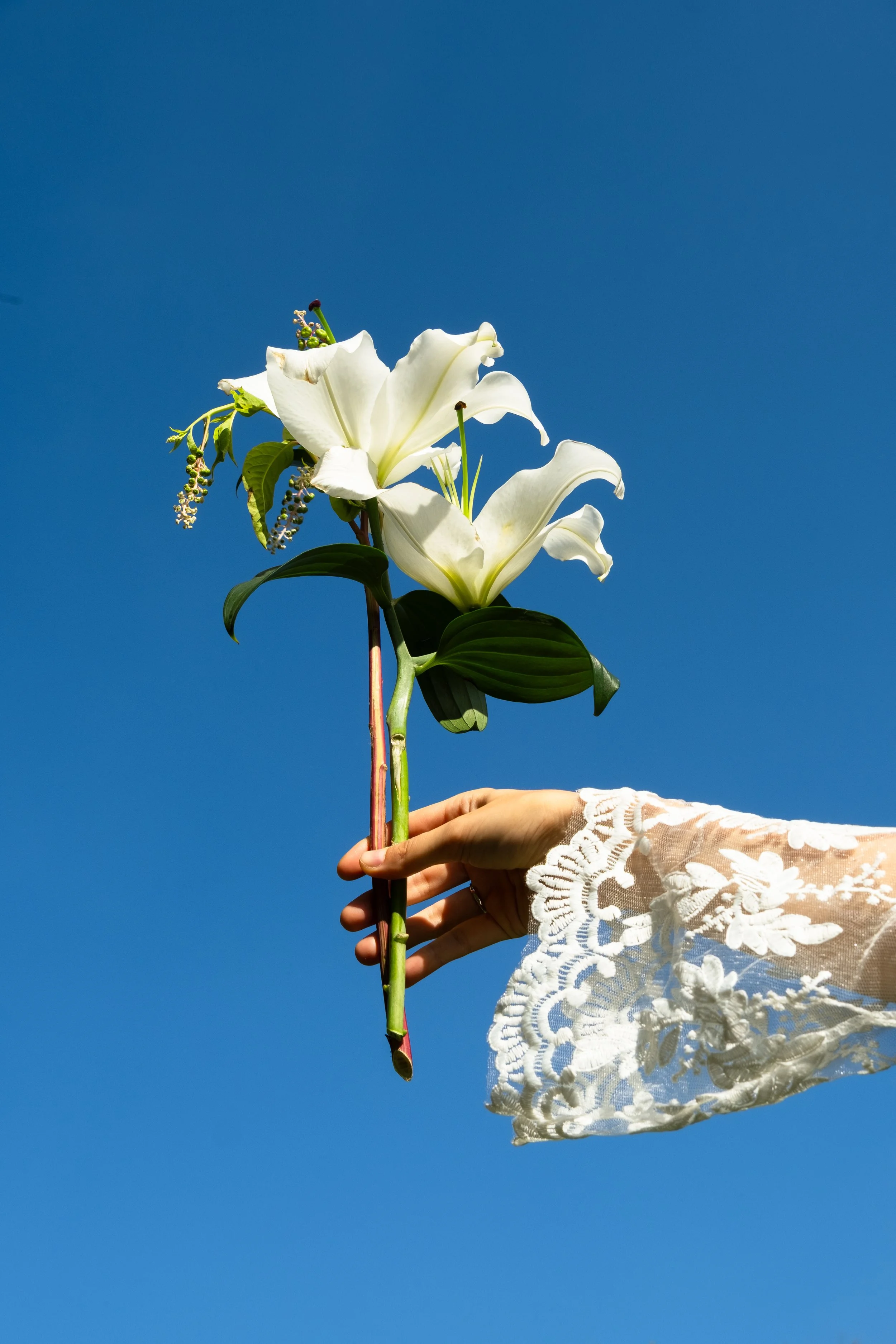 A person's hand, dressed in white lace sleeve, holding a bouquet of white lilies against a bright blue sky.