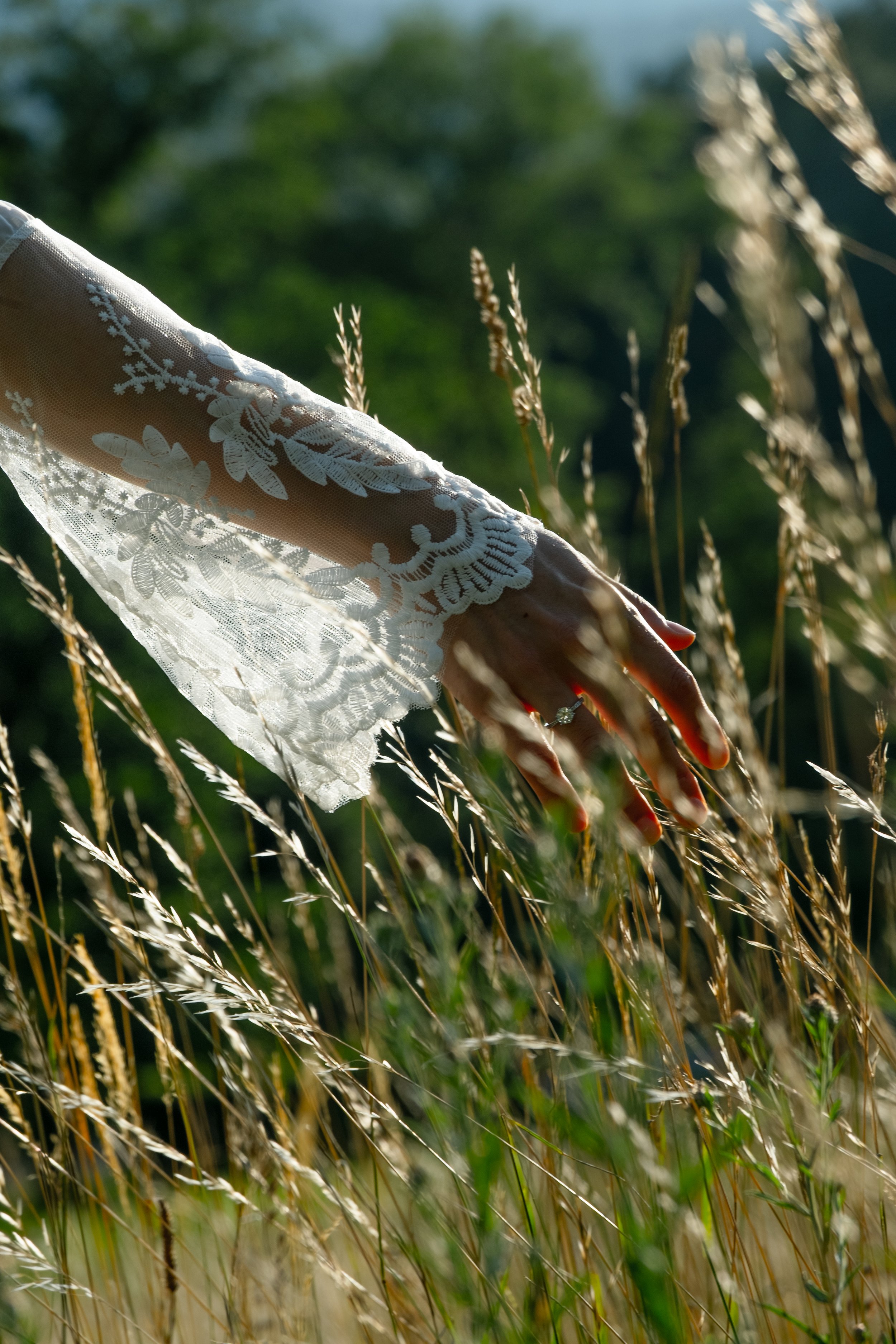 A hand with a ring on the ring finger, wearing a lace sleeve, reaching out amidst tall grass in a sunny field with blurred green foliage in the background.