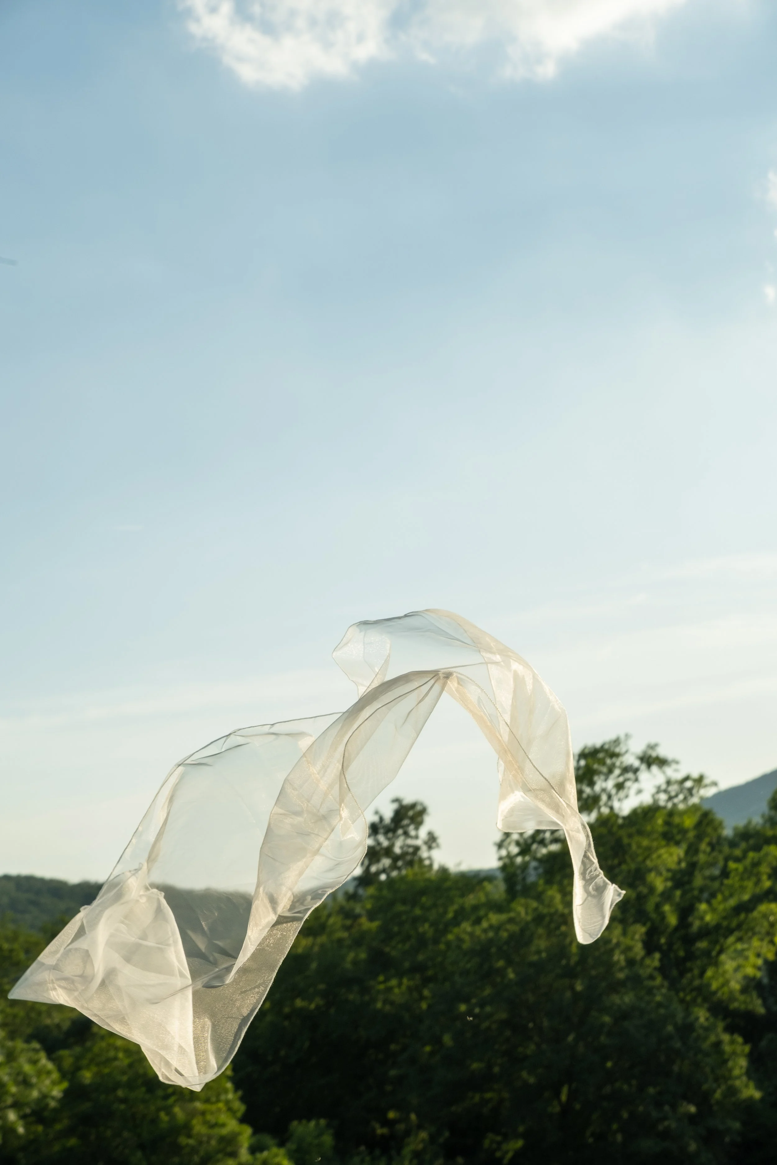 A plastic bag floating in the air with trees and hills in the background under a clear sky.