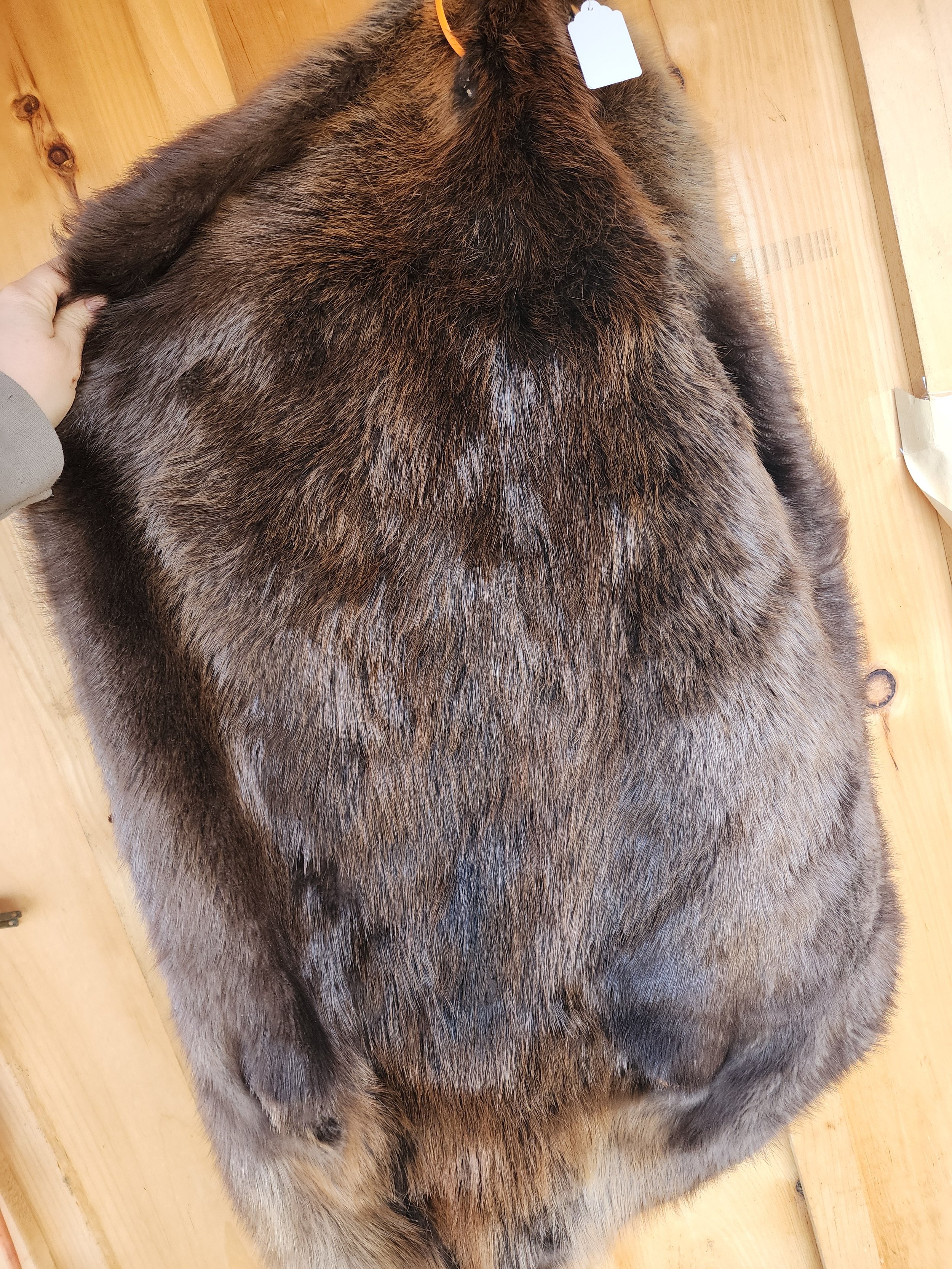 Prime XL Soft Tanned Beaver Pelts