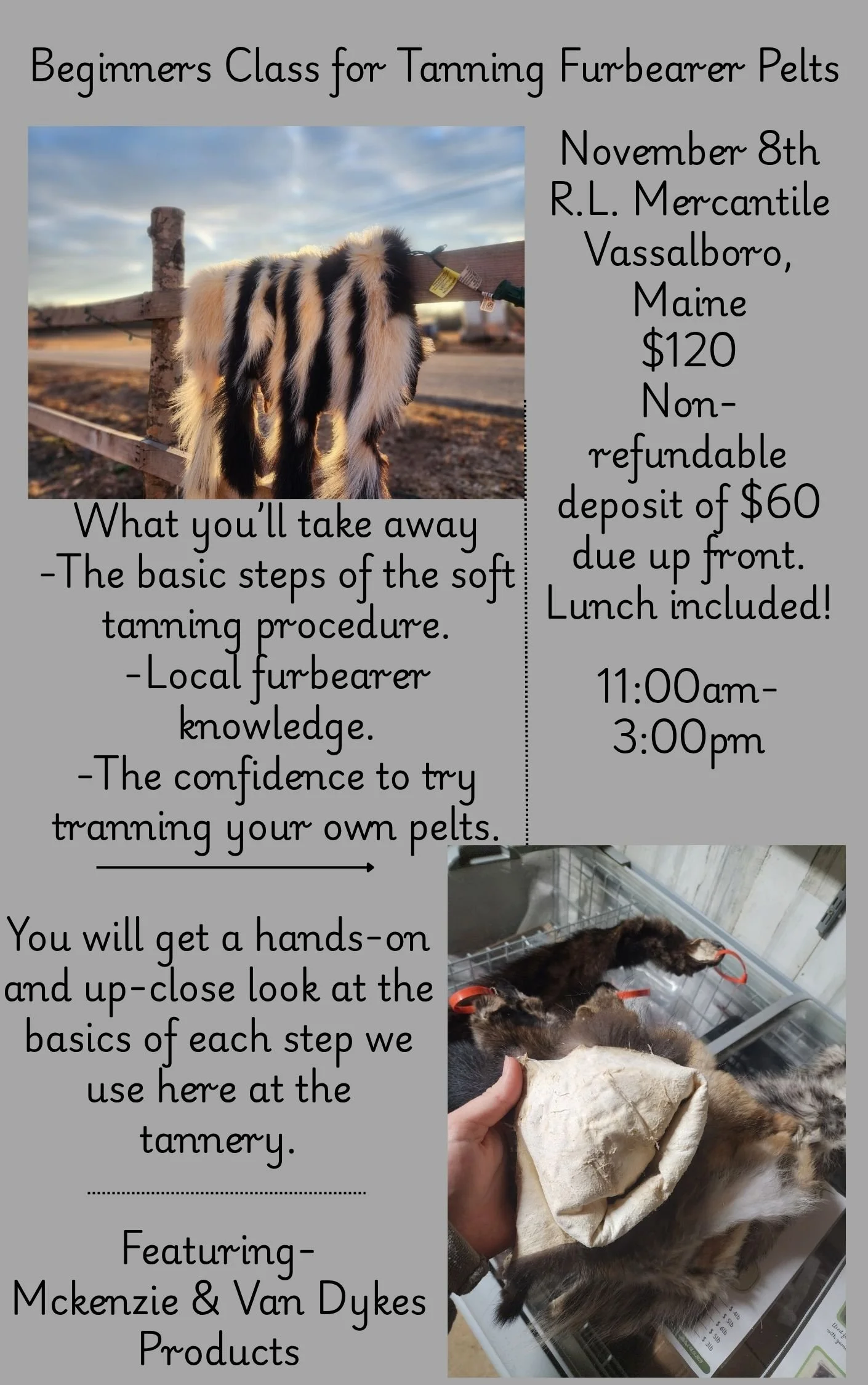 Green Minimalist Mysterious Forest Novel Book Cover.jpg