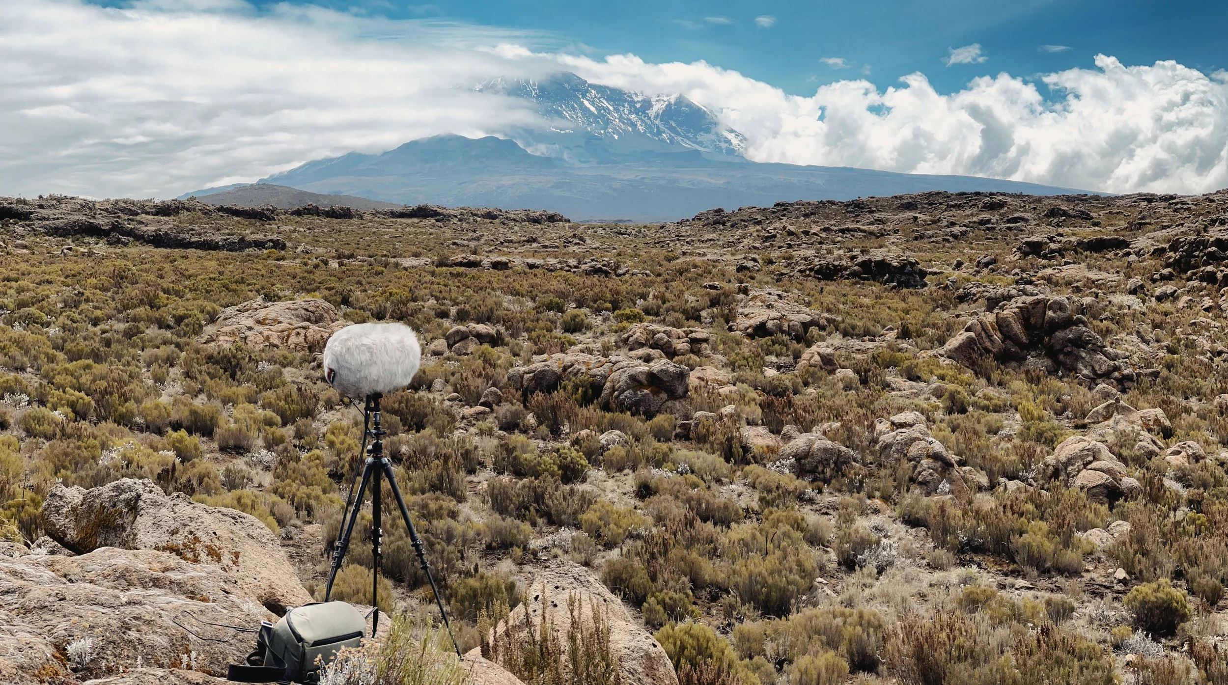 A camera with a furry windscreen on a tripod set up in a rocky, desert-like landscape with sparse shrubbery, with a snow-capped mountain in the background under a partly cloudy sky.