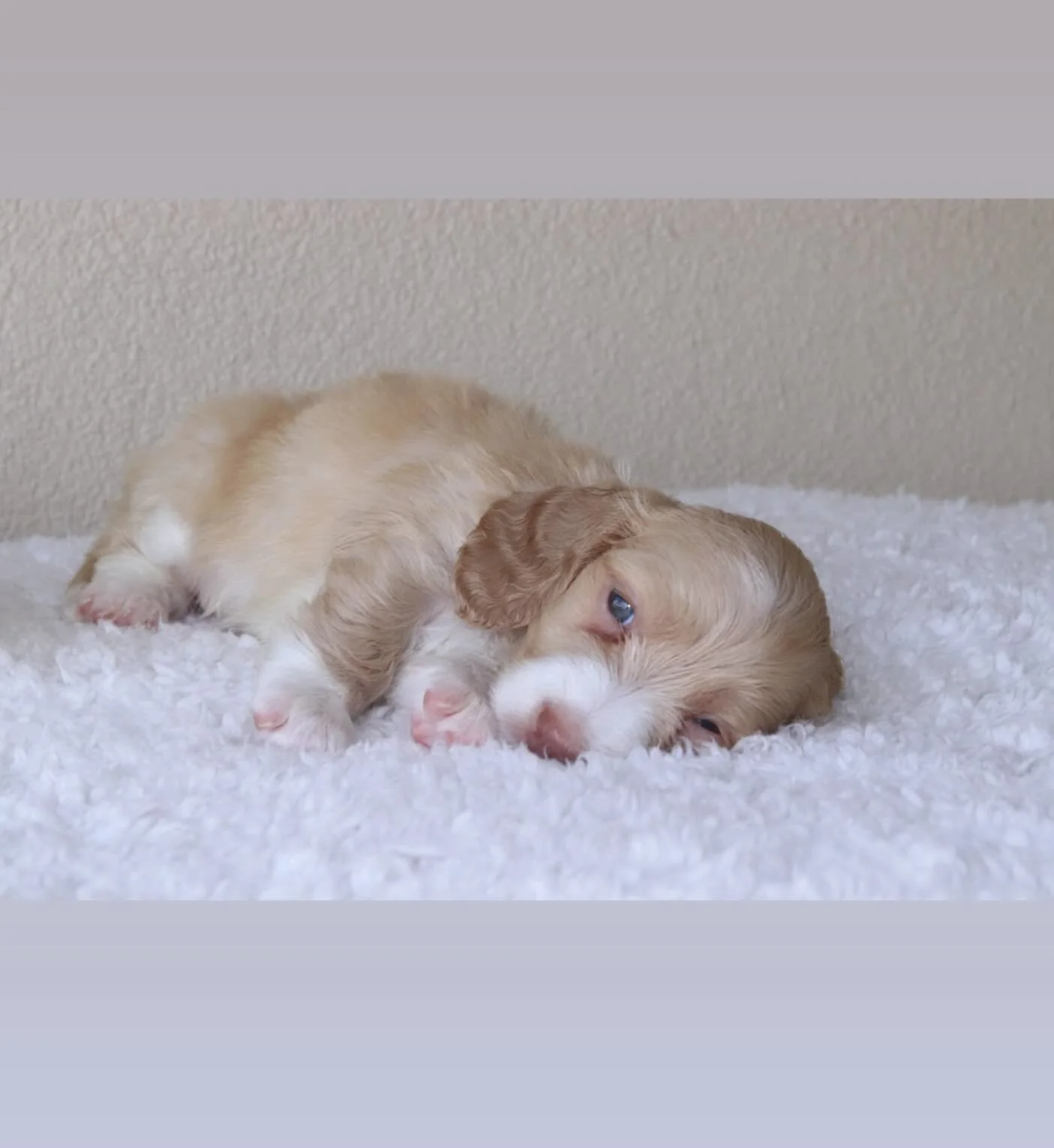 Taking EOI soon on these little girls 🥰