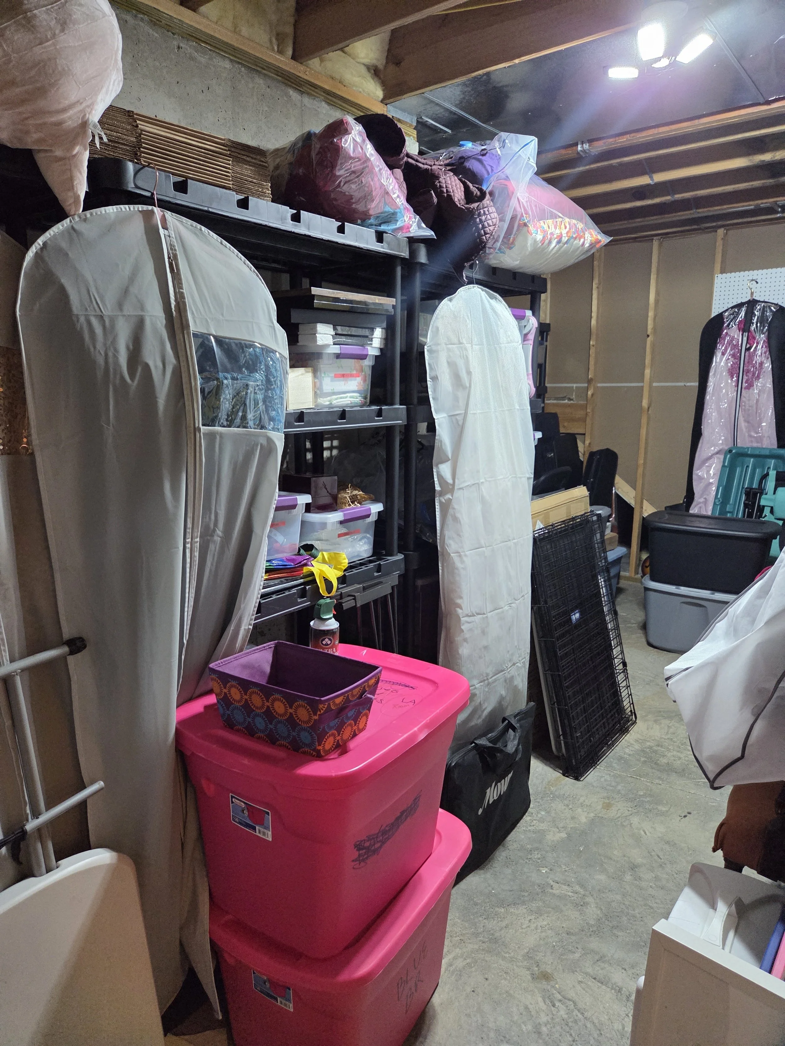 Basement Organization