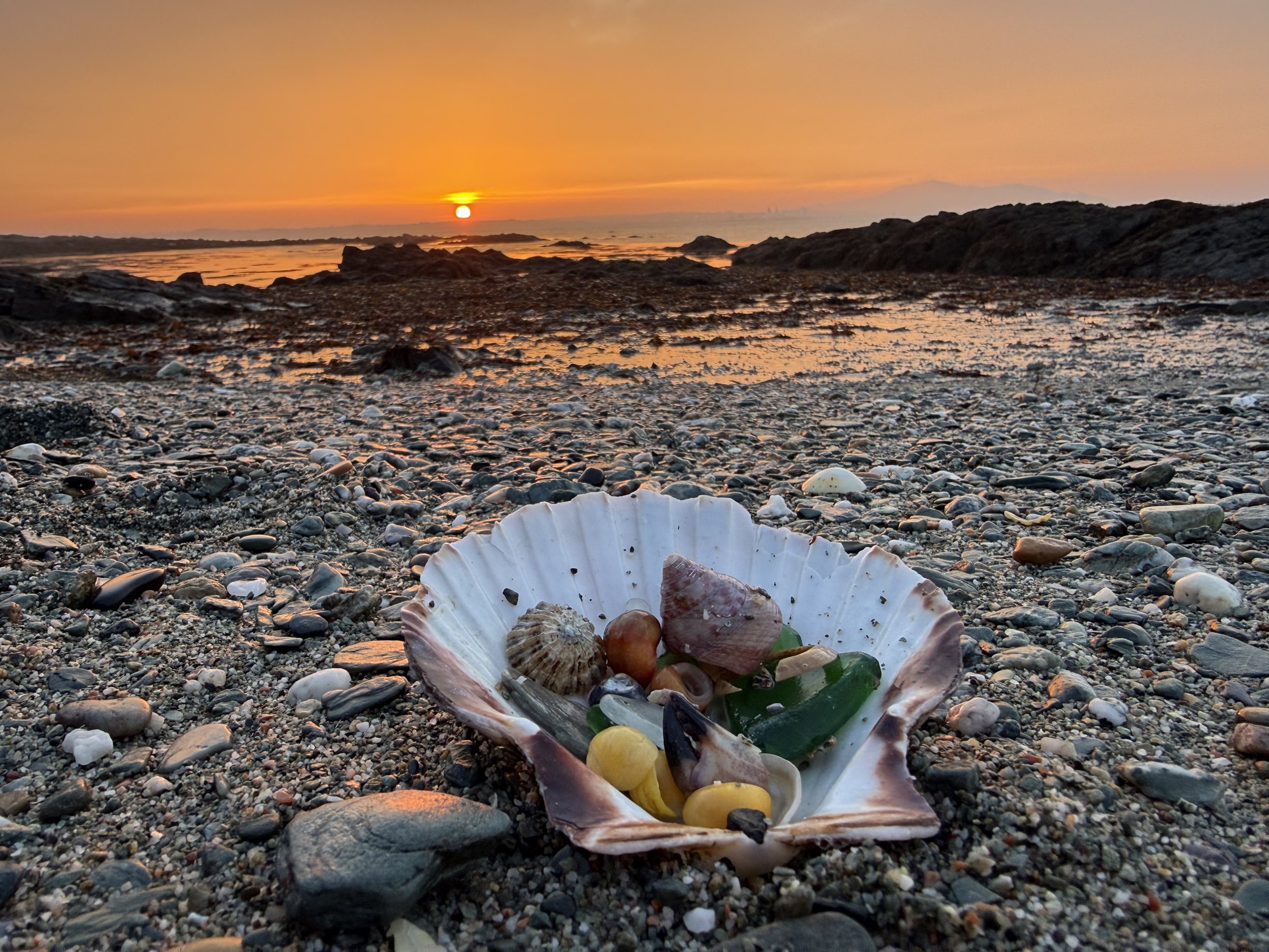 Calm before the storm… how to survive Christmas