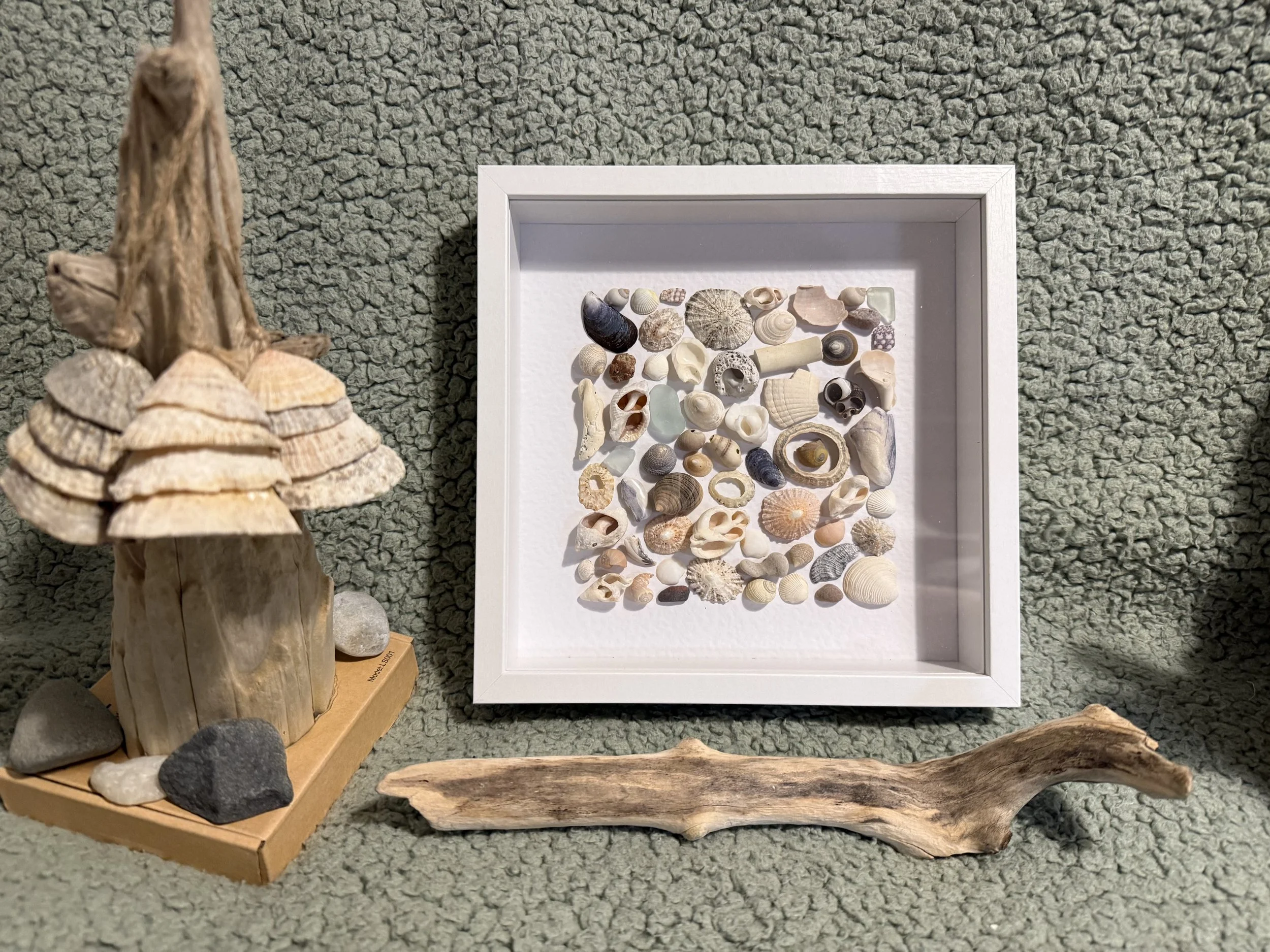 Magical Mosaic from Mull