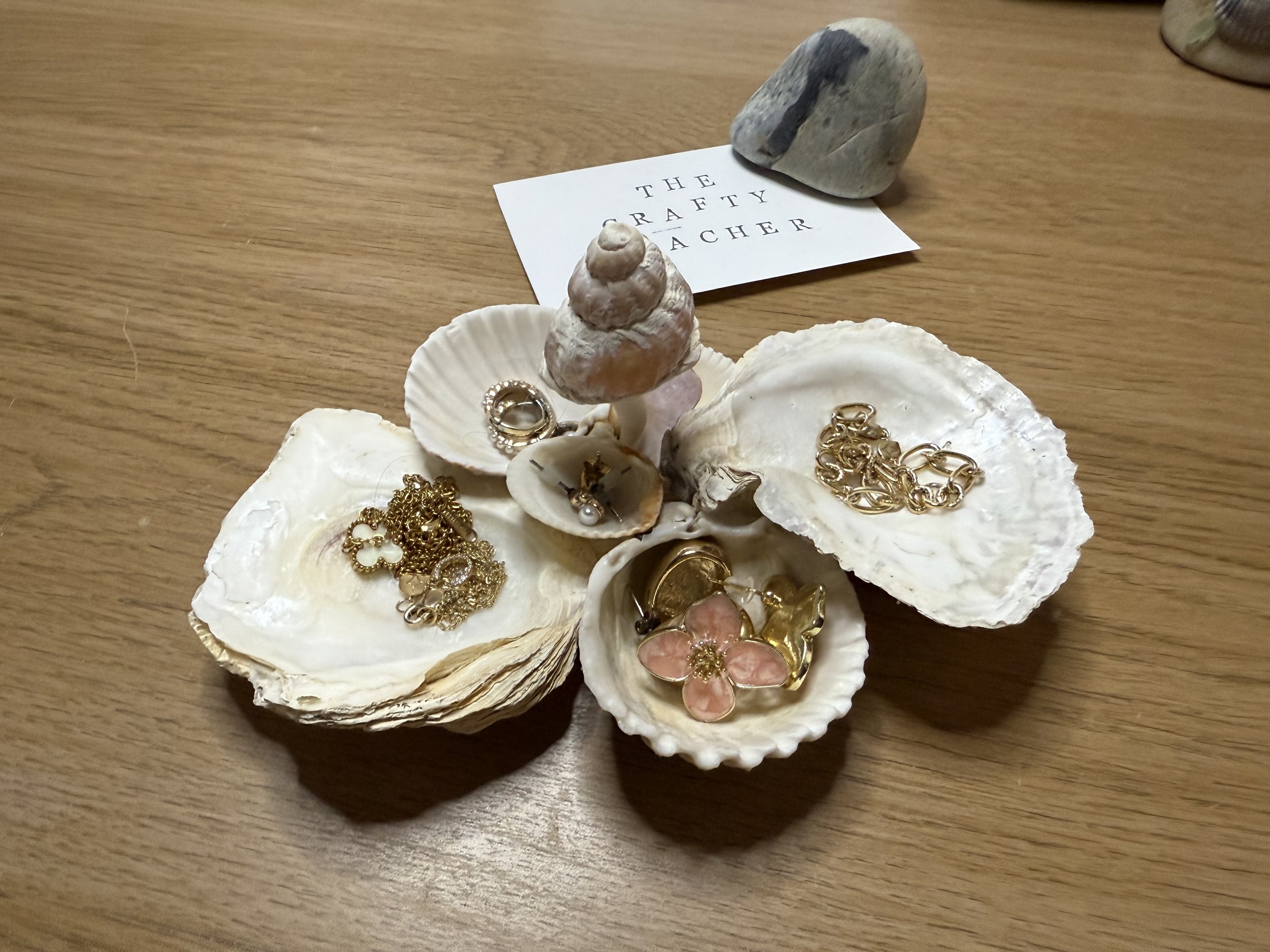 Sea Shell Jewellery Holder (SOLD)