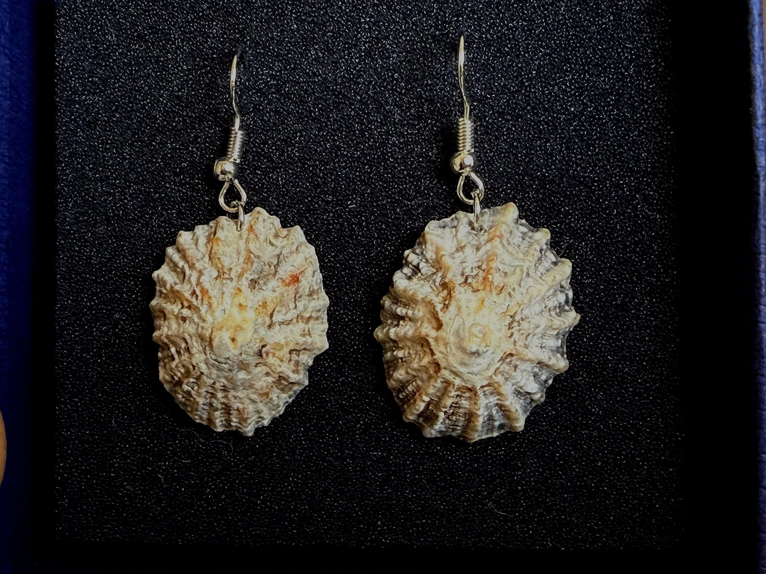Drop earrings made from limpet shells hand collected from the beaches of Donegal