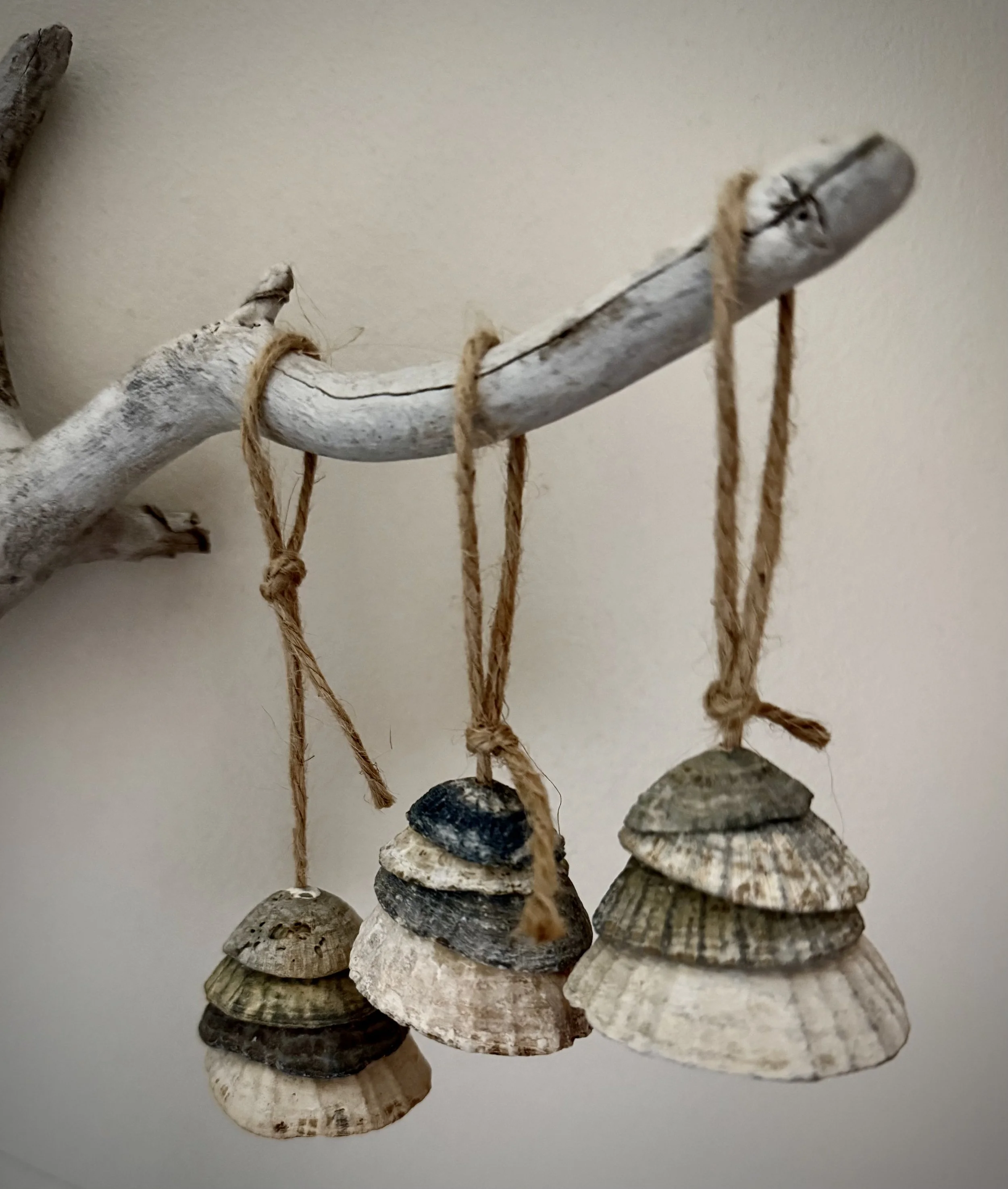 Limpet Christmas Decorations