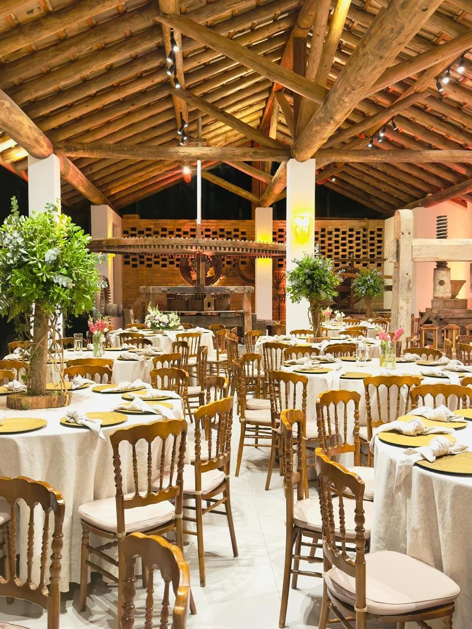 WhatsApp Image 2025-11-24 at 15.39.13.jpeg