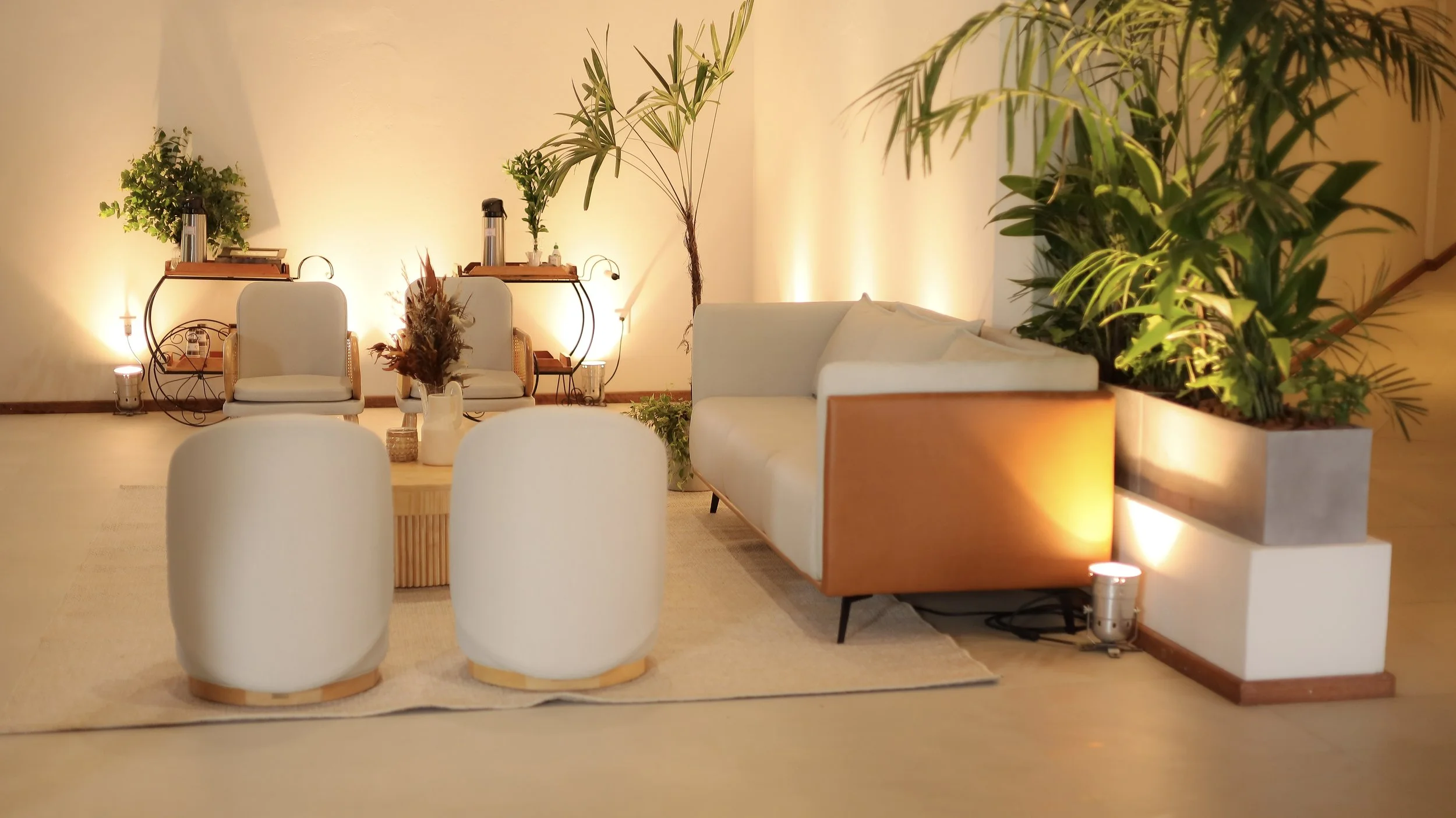 Sala de estar aconchegante com sofá branco, poltronas brancas, mesa de centro de madeira, plantas verdes e iluminação suave.