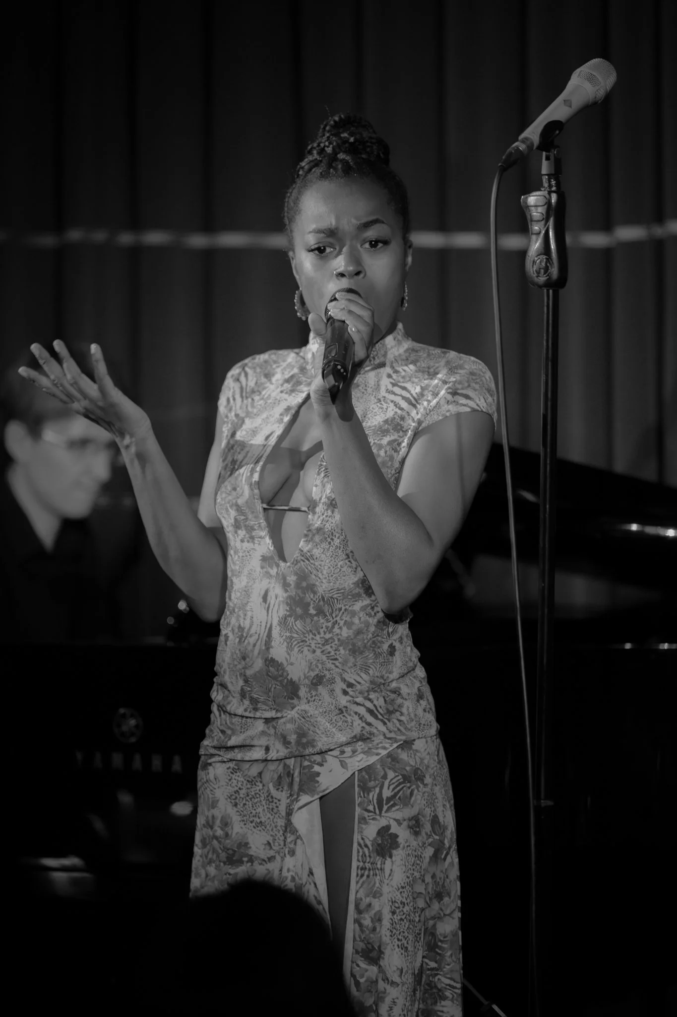 Zachary James - Crazy Coqs 