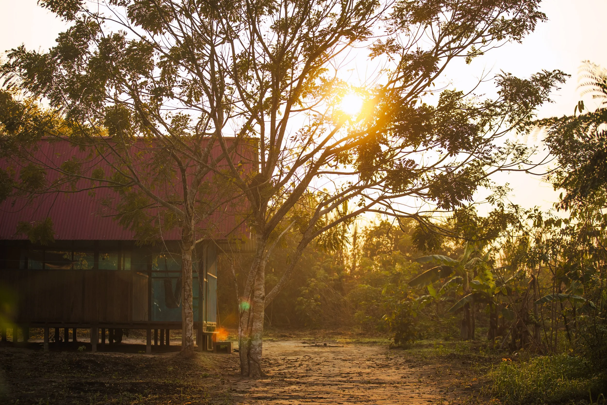 A rural scene during sunset with trees, a dirt pathway, and a traditional wooden house with a red roof.