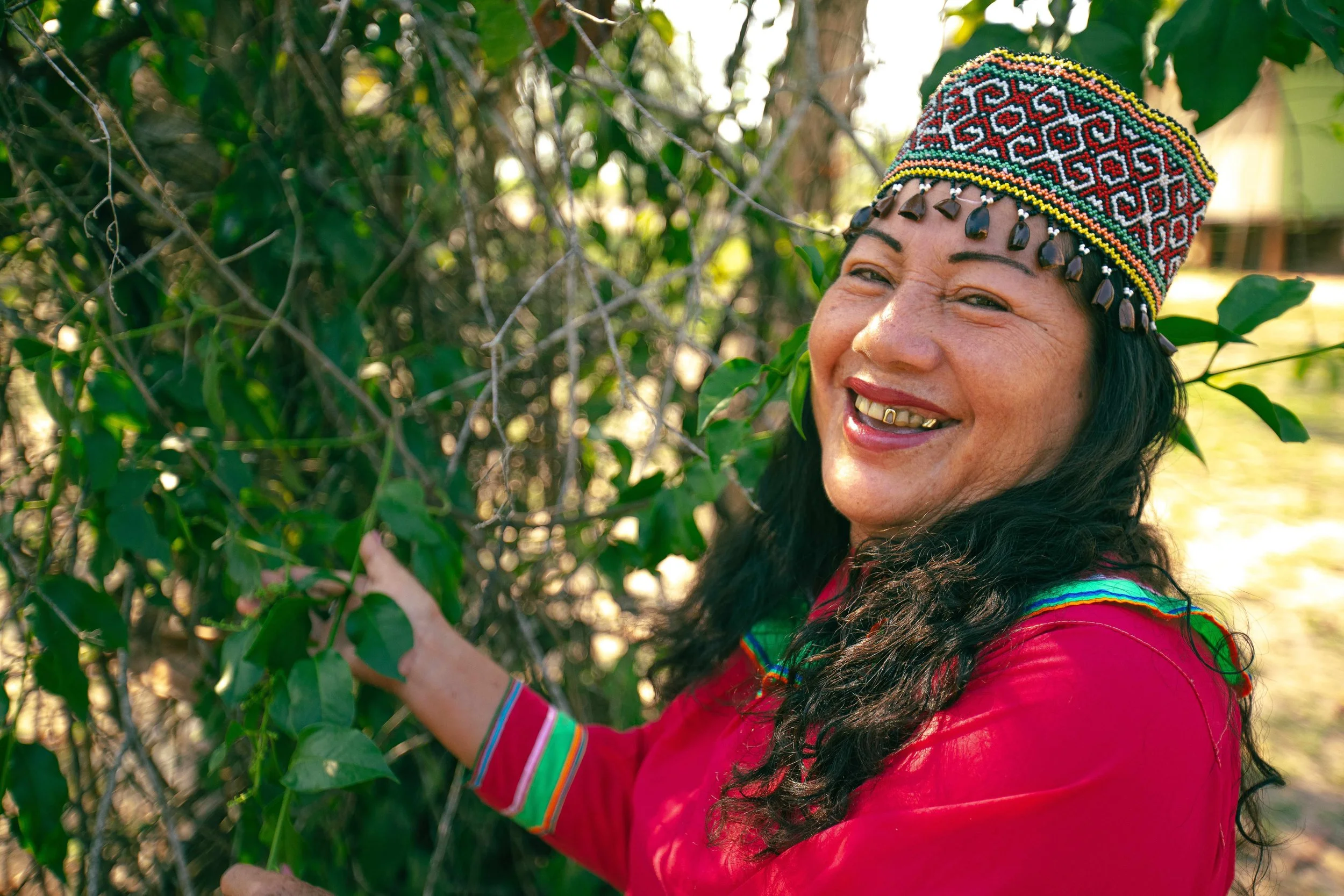 A woman wearing traditional attire and decorated with jewelry, smiling outdoors among green plants, touching leaves.