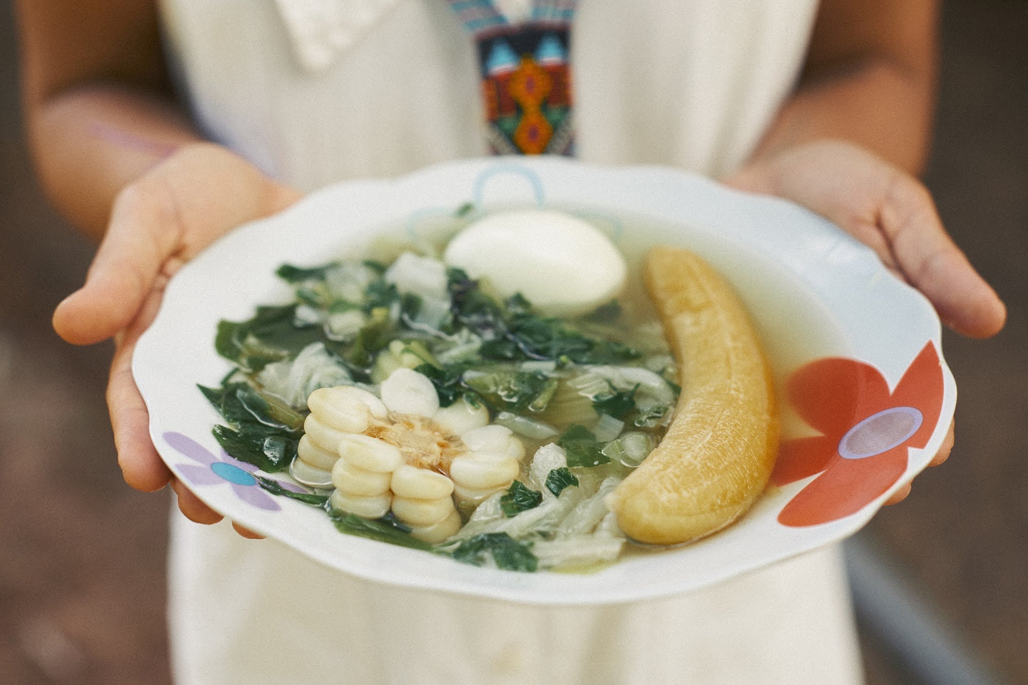 Shipibo ayahuasca retreat master plant diet amazon rainforest