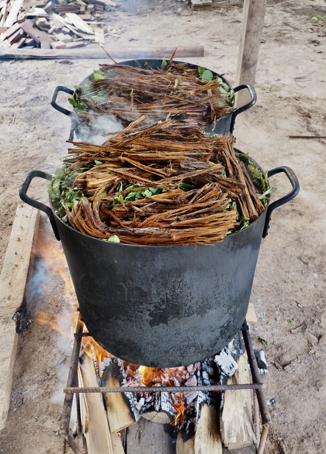 Shipibo ayahuasca retreat master plant diet amazon rainforest