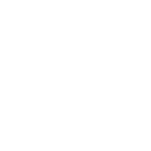 Black and white rose window with geometric stained glass patterns.