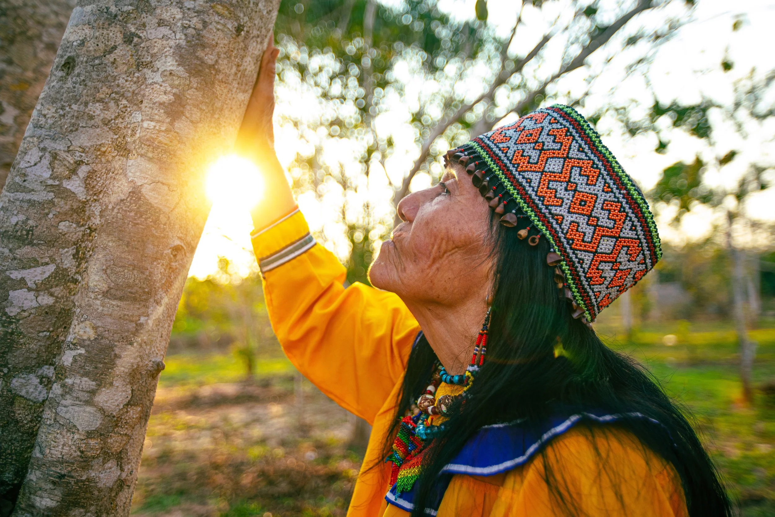An indigenous woman in traditional dress touching a tree with sunlight in the background.