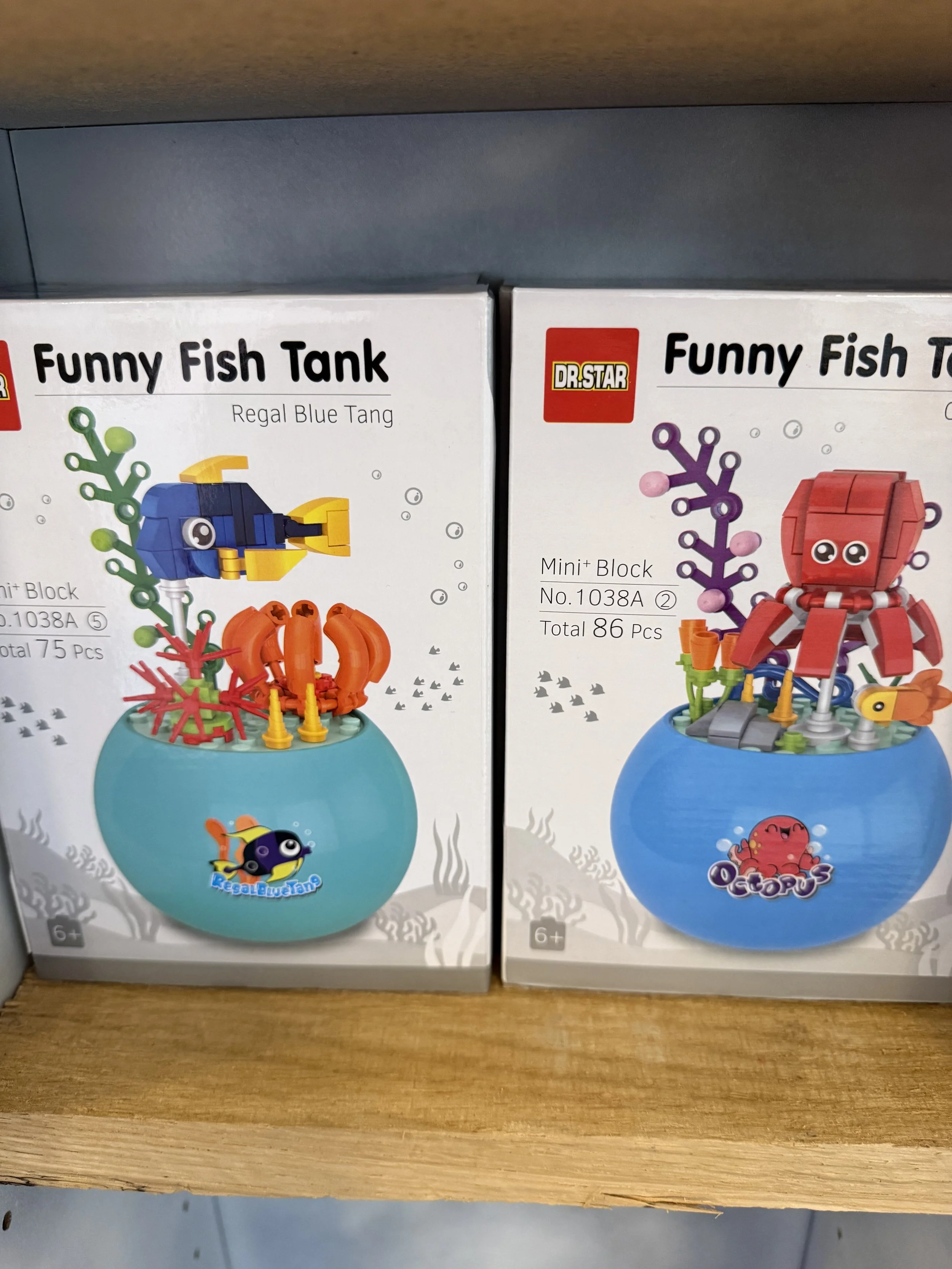 fun fish tanks to build