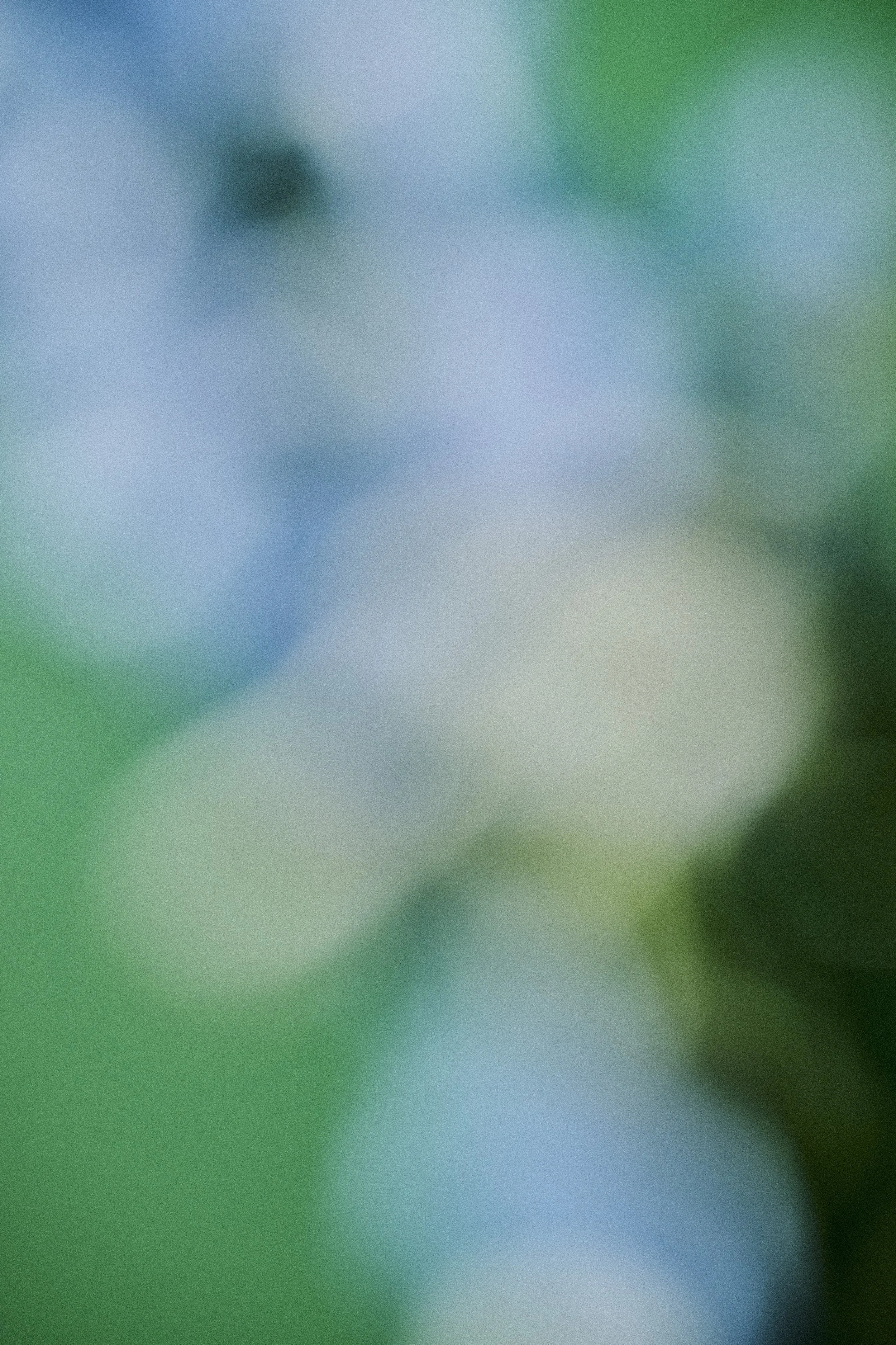 ASSET_1_TEXTURE_048V1psbupressedRGB.jpg