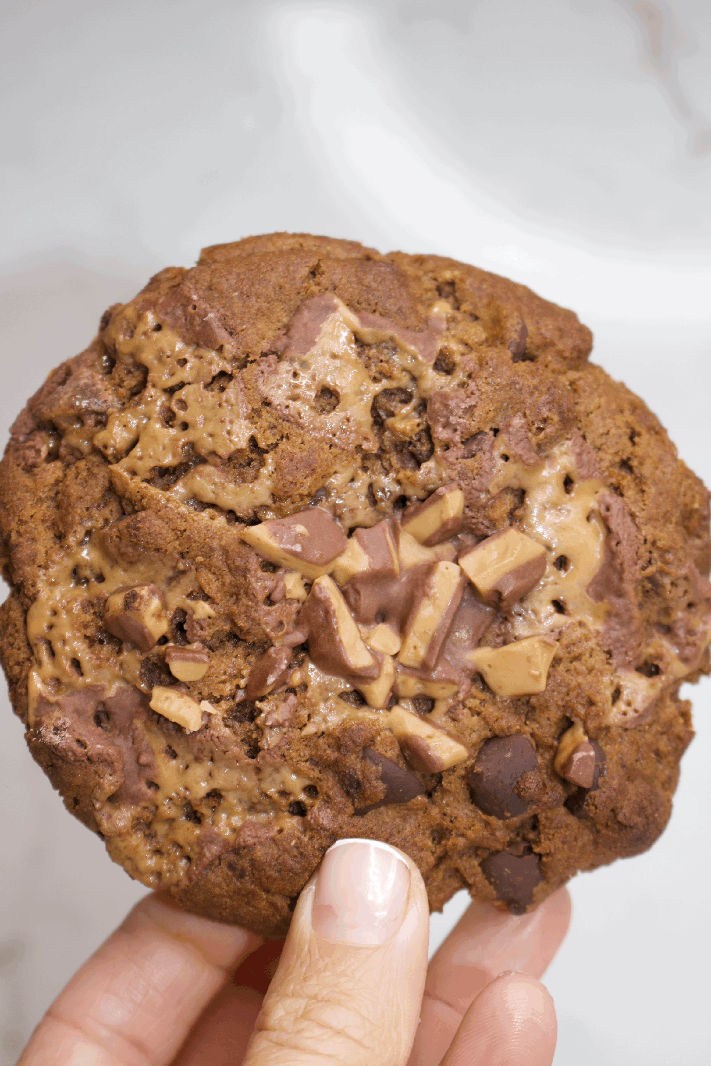 Toffee Chocolate Chip Cookie