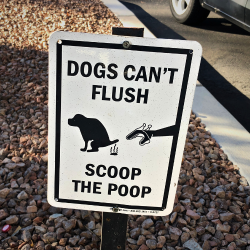Champ’s Clean & Care dog waste removal service in South Jersey.
