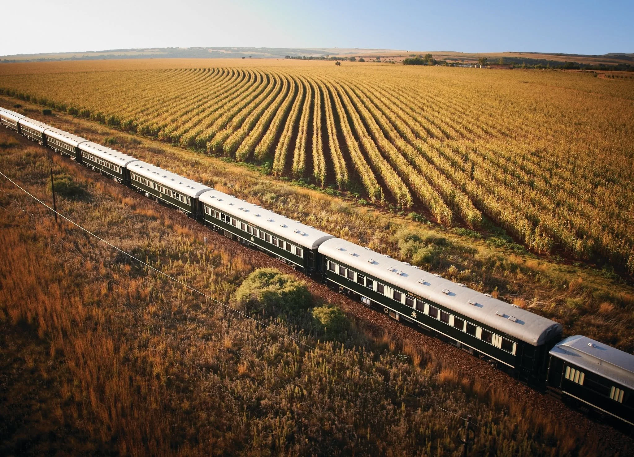 A train traveling through farmland with rows of crops and rolling hills in the background.