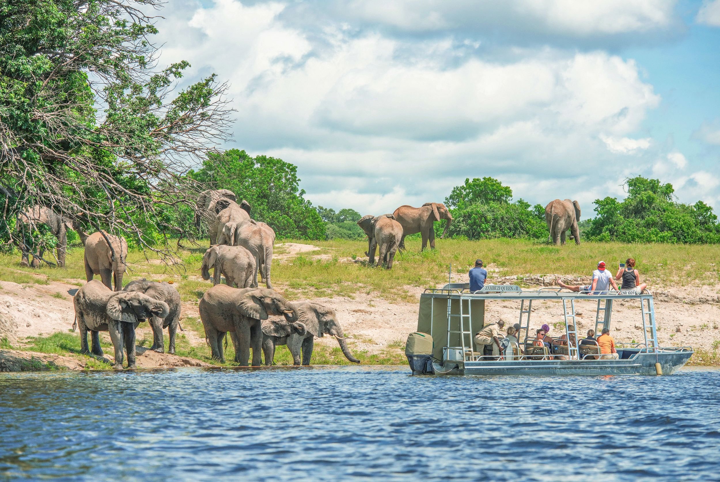 Group of tourists on a boat observing elephants on the riverbank in a savannah landscape with trees and cloudy sky.