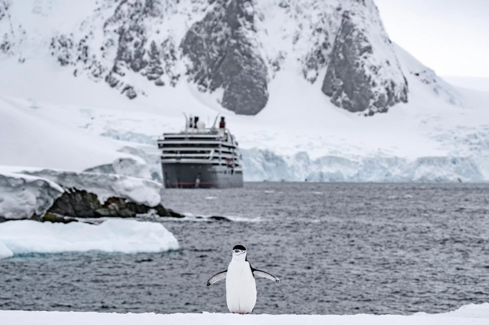 A penguin standing on ice in icy waters with a large cruise ship in the background and snow-covered mountains.