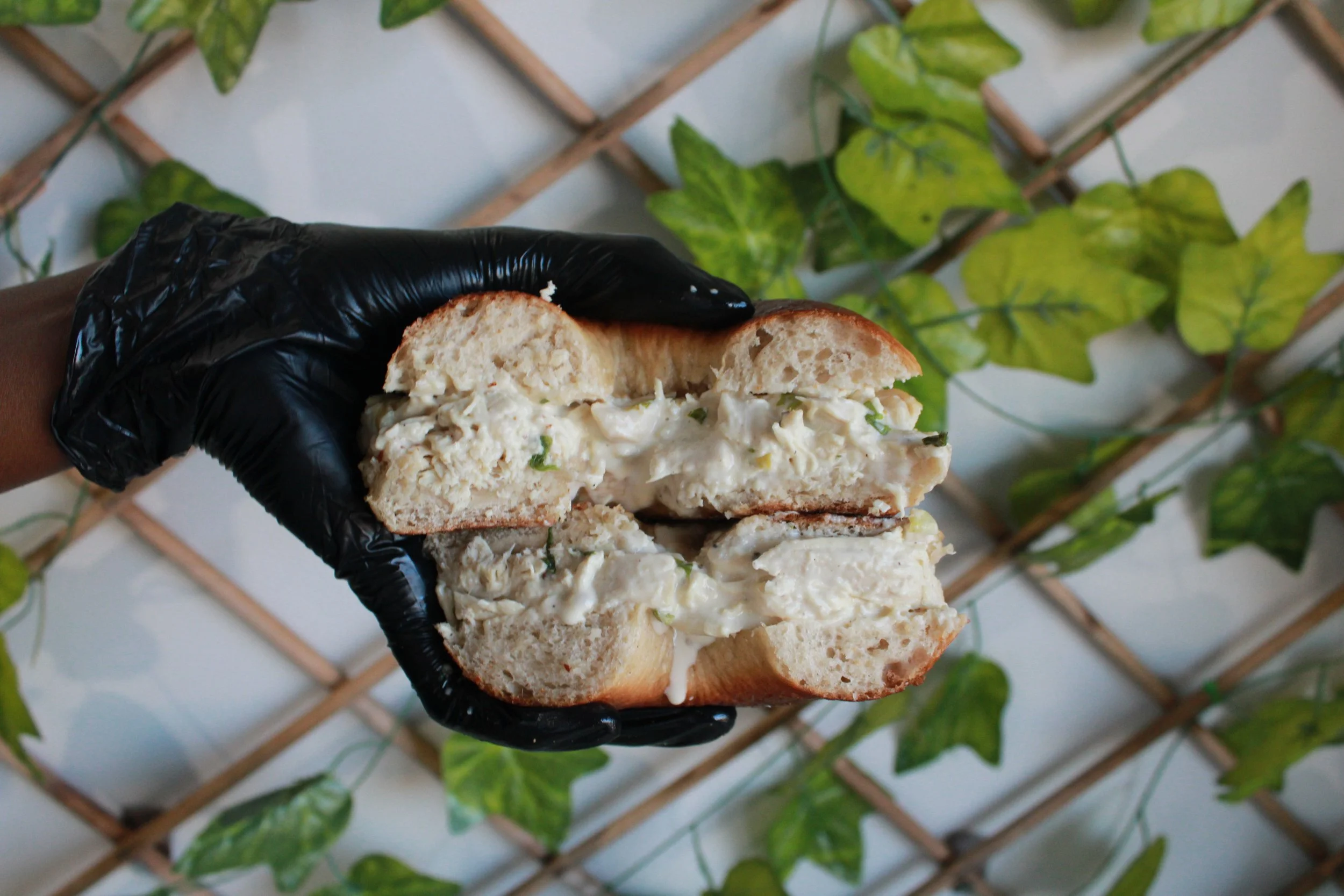 Hand in a black glove holding a sandwich with Chicken & Mayo in a sourdough bagel, with a background of green leafy plants and a wooden lattice.
