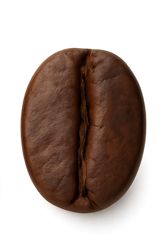 Close-up of a brown roasted coffee bean.