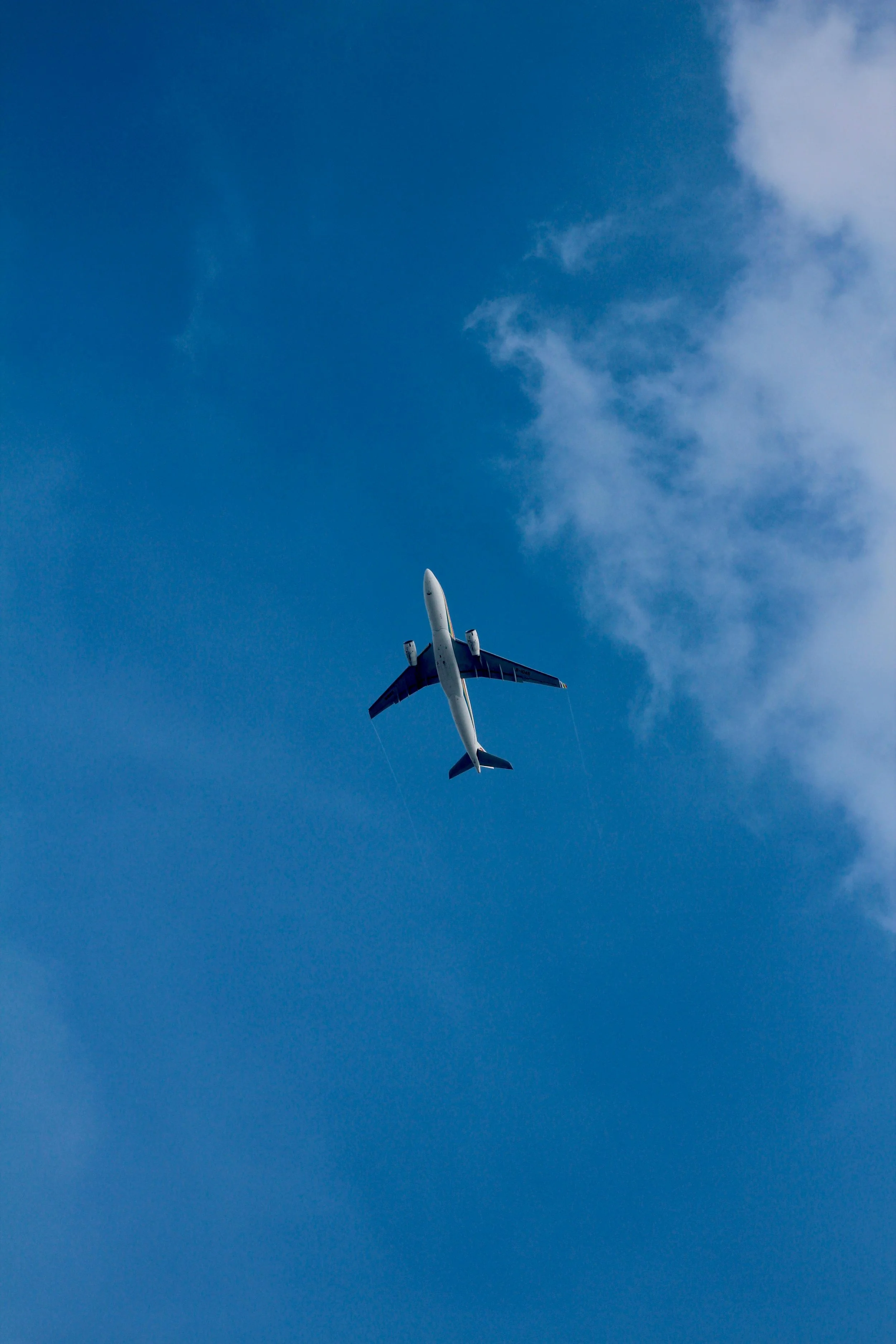 The Equilibrium of Lessor OEM Orderbooks