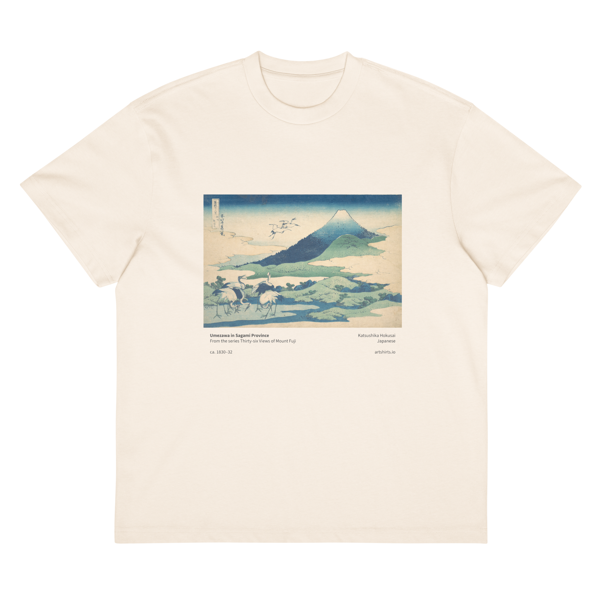 Umezawa in Sagami Province Boxy T-Shirt