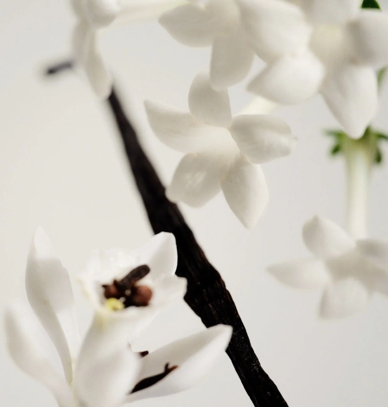 Give Your Home a Signature Scent