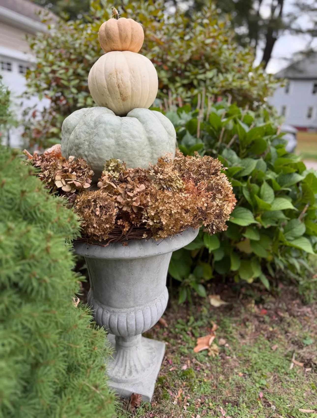 A decorative arrangement in a stone garden urn with dried hydrangea flowers, topped with stacked gourds and pumpkins in an outdoor garden setting.