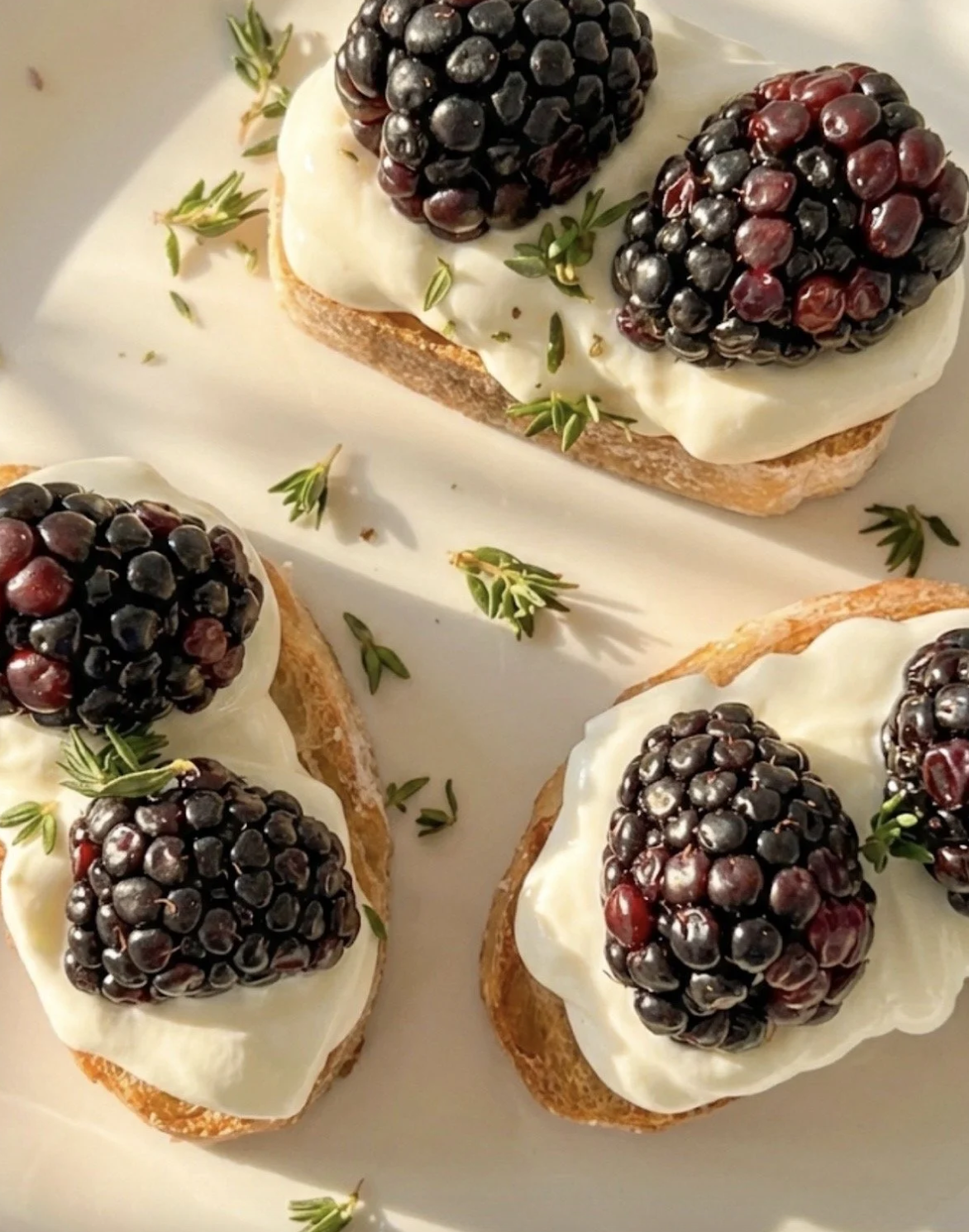 Open-faced bread slices topped with cream cheese, blackberries, and garnished with small green herbs.