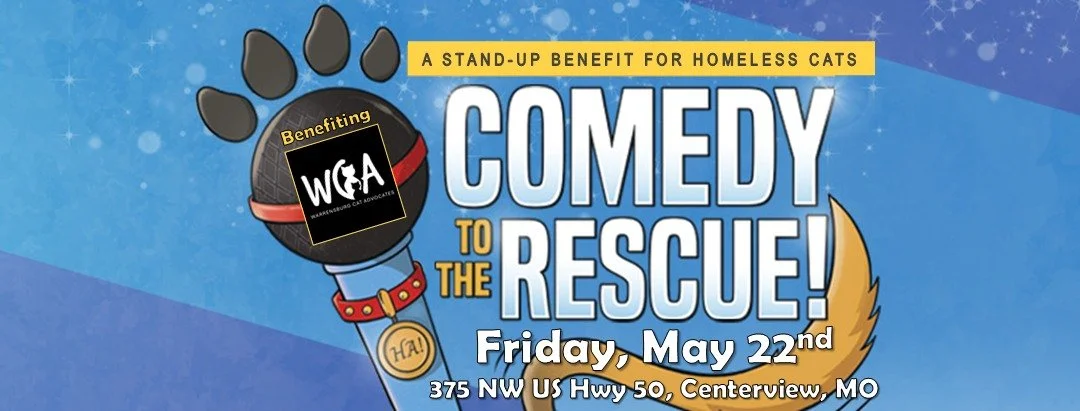 Comedy To The Rescue!
