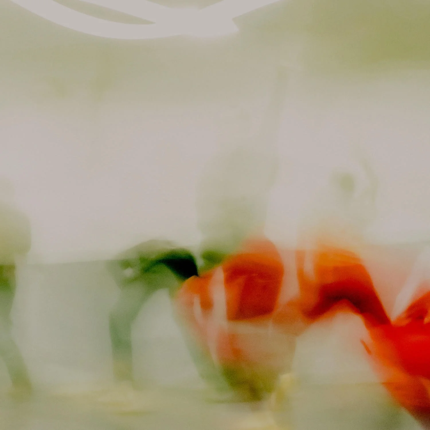 Blurred image of an orange flower with green leaves against a light background.