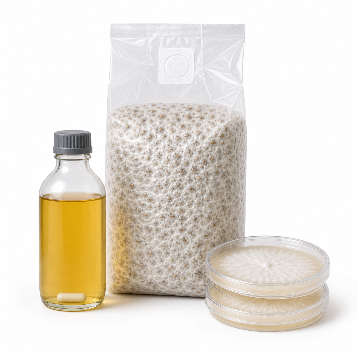 Square_category_image_showing_colonized_spawn_bag,_liquid_culture_bottle,_and_colonized_agar_plates_on_white_background.png