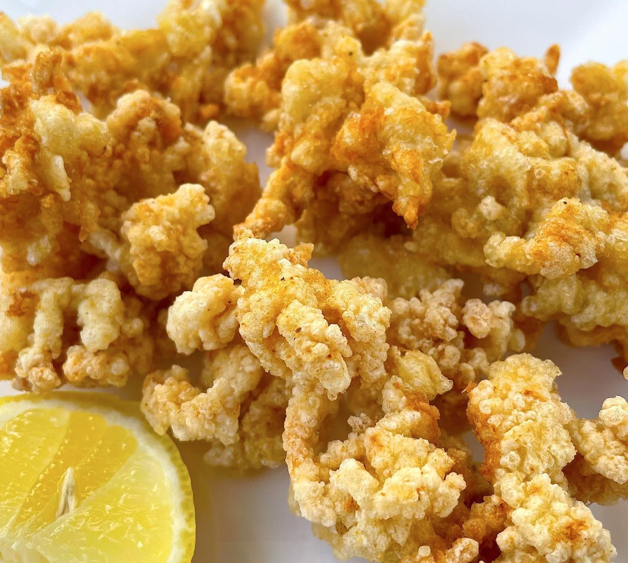 Coral Tooth Calamari