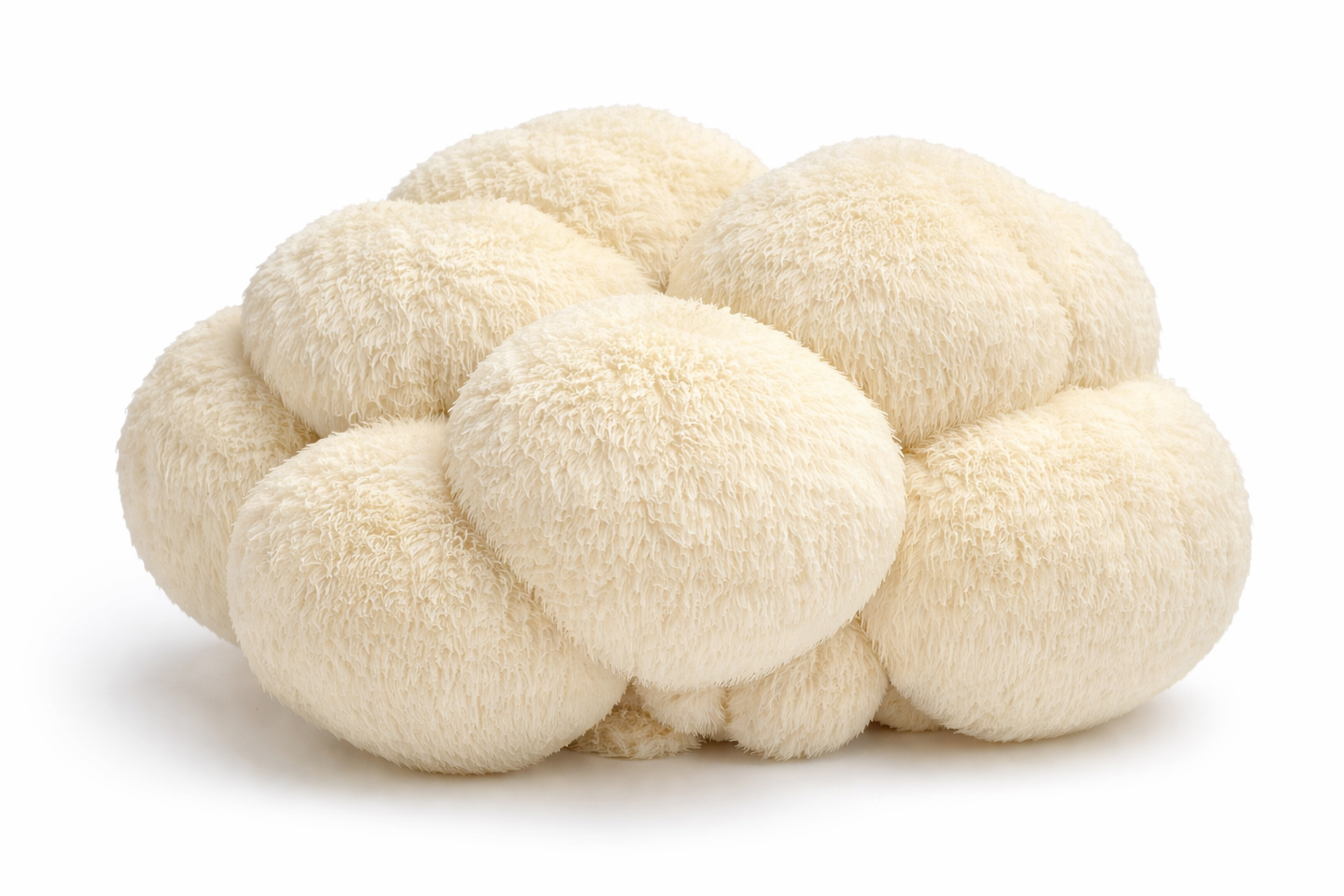 ChatGPT Image Jan 2, 2026, 04_45_46 PM.png