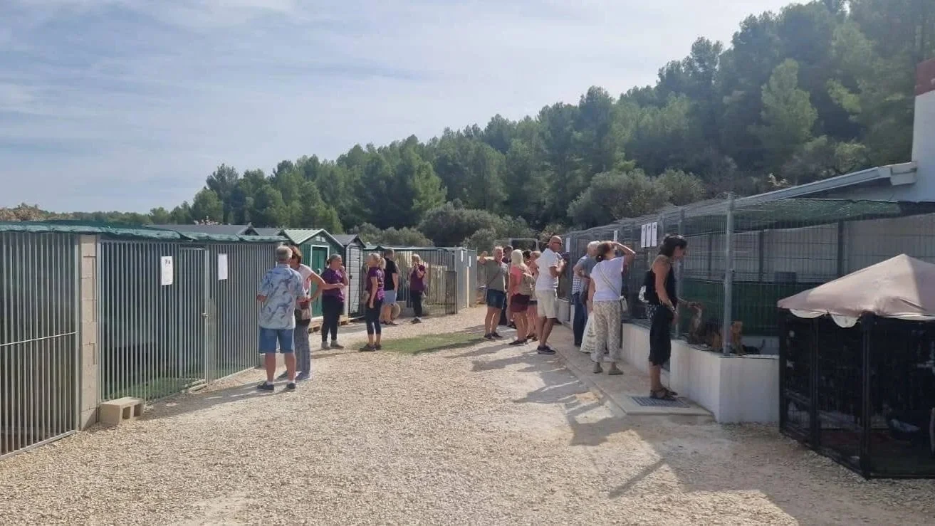 Open Day at the Paws Xaló shelter