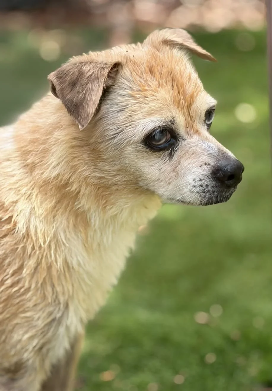Urgent Appeal: Can You Help Javi?