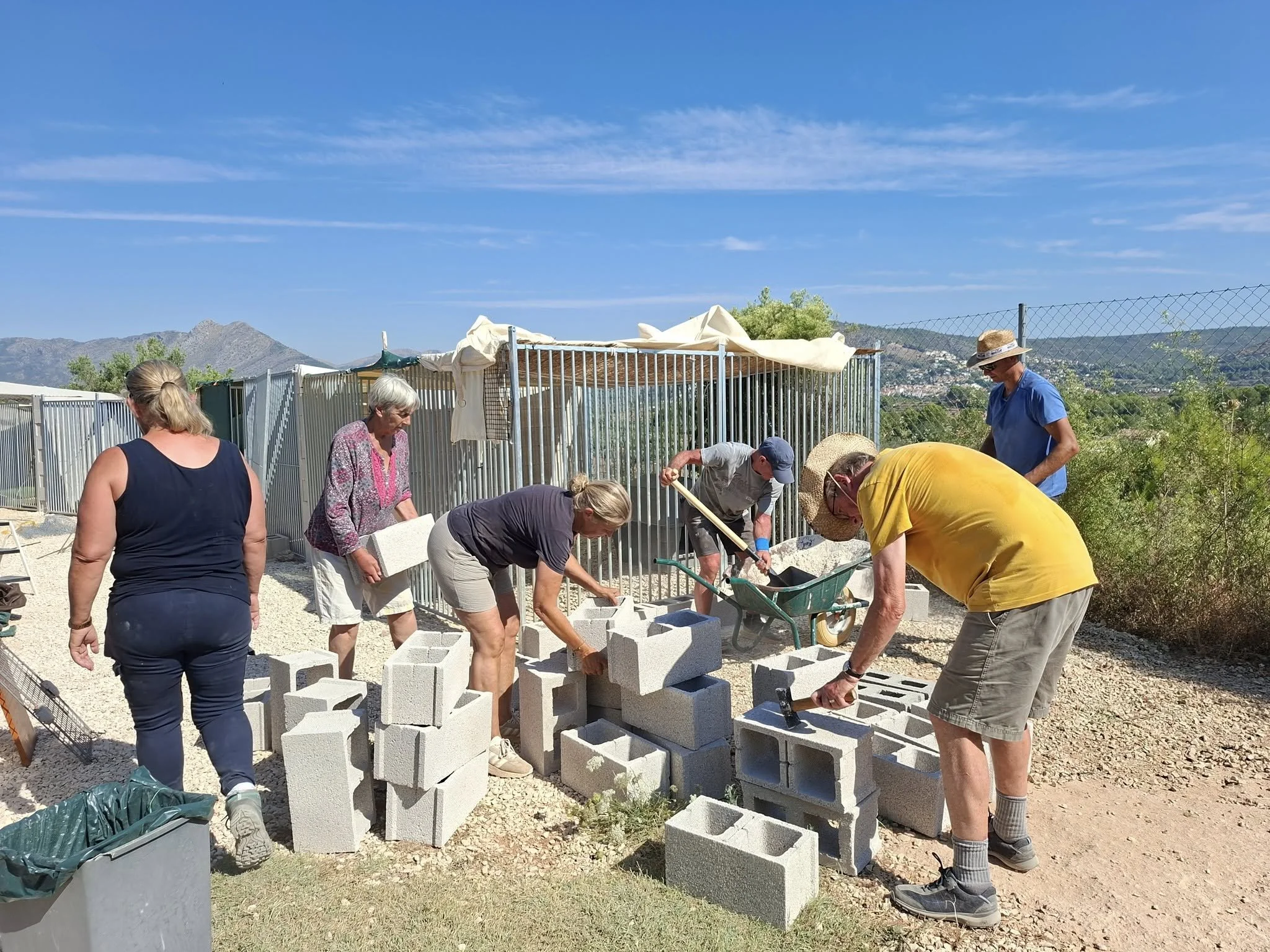 Volunteers hard at work building new pens at the Paws Xalo shelter