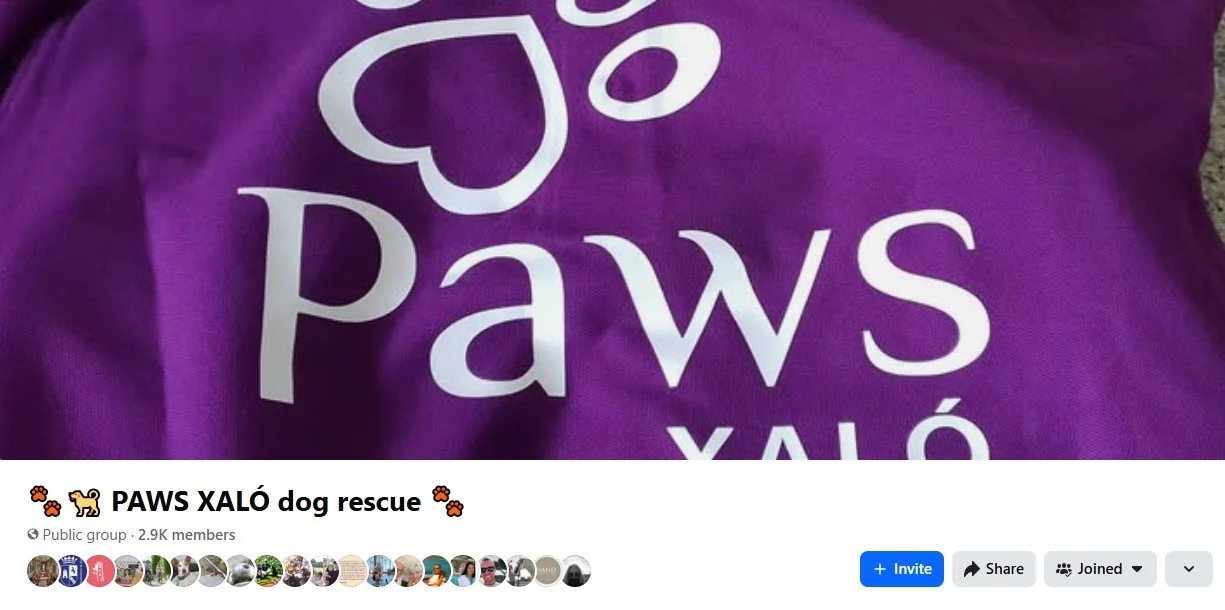 Screengrab of the header from the Paws Xaló Facebook Group.  Click the image to go to the group and join the discussion!
