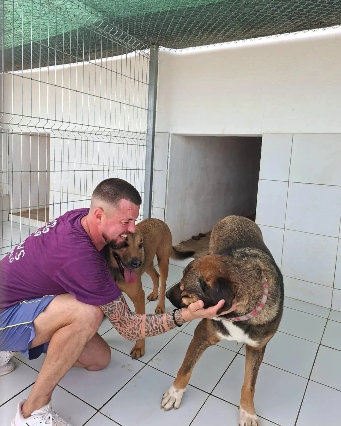 Lee Harker playing with two of our shelter dogs in the Paws Xaló kennels