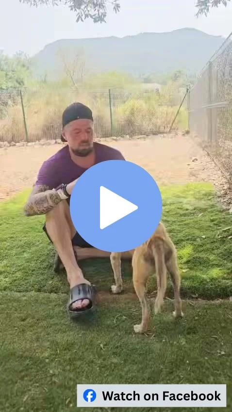 Click here to view this reel on Facebook