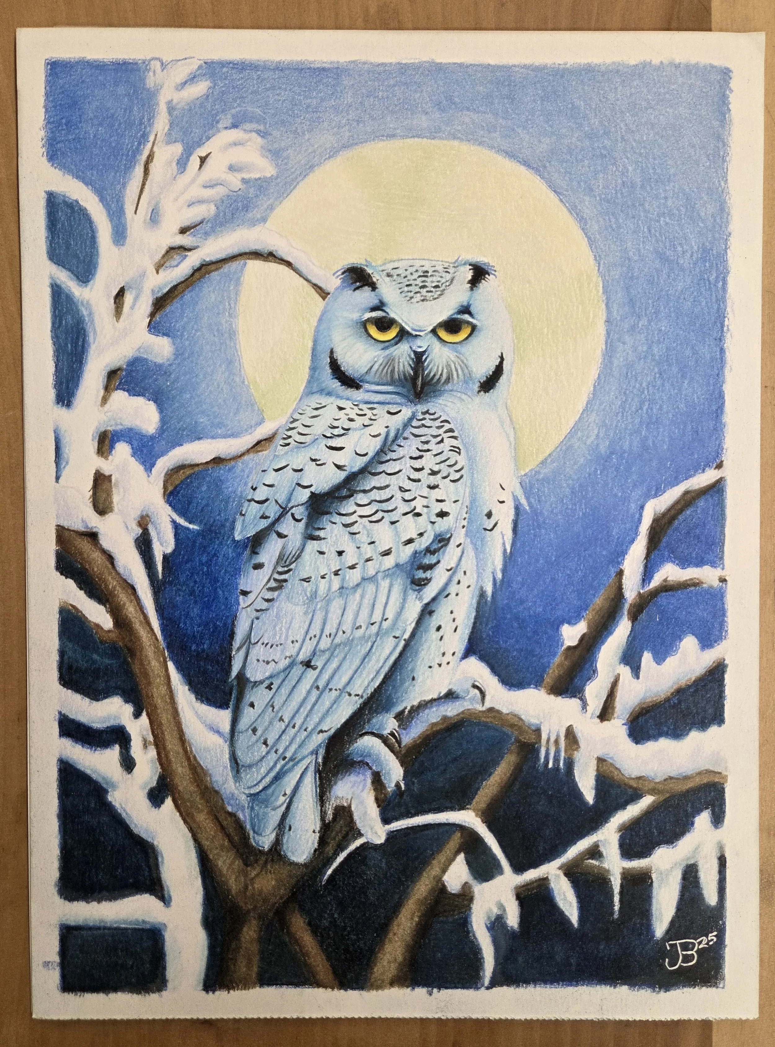 Artist: JB

Colored Pencil, 12” x 9”

$150 

For sale at Charles Jordan Community Center 